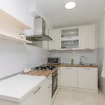 Oblutak شقة بروداريكا